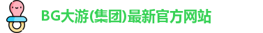 BG大游(集团)最新官方网站